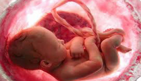 وبینار علمی  ارزیابی سلامت جنین