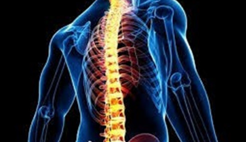 وبینار علمی  ارزشیابی سیستم عضلانی-اسکلتی سرو گردن و اندام های فوقانی