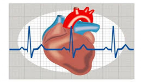 وبینار علمی  اداره بیماران با بیماری ایسکمیک قلبی برای اعمال جراحی غیرقلبی