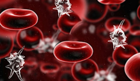 وبینار علمی  بررسی ایمونولوژیک اختلالات خون
