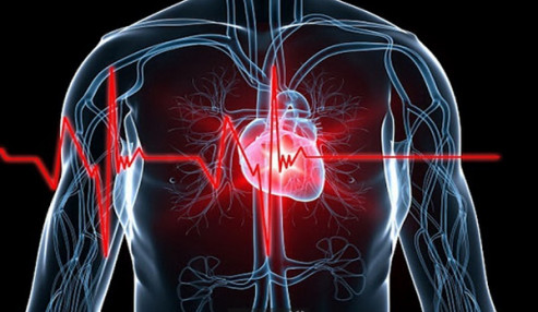 وبینار علمی  تازه های نارسایی قلب